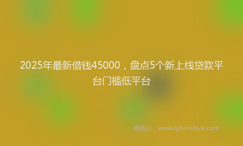 2025年最新借钱45000，盘点5个新上线贷款平台门槛低平台