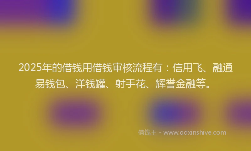2025年的借钱用借钱审核流程有：信用飞、融通易钱包、洋钱罐、射手花、辉誉金融等。