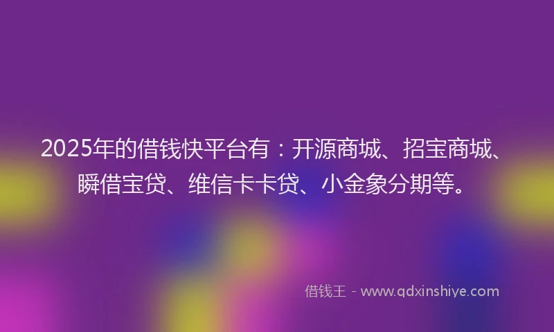 2025年的借钱快平台有：开源商城、招宝商城、瞬借宝贷、维信卡卡贷、小金象分期等。