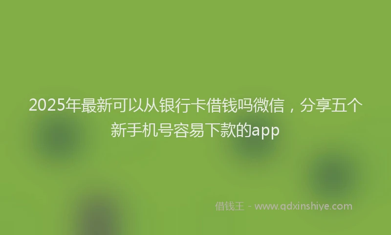2025年最新可以从银行卡借钱吗微信，分享五个新手机号容易下款的app