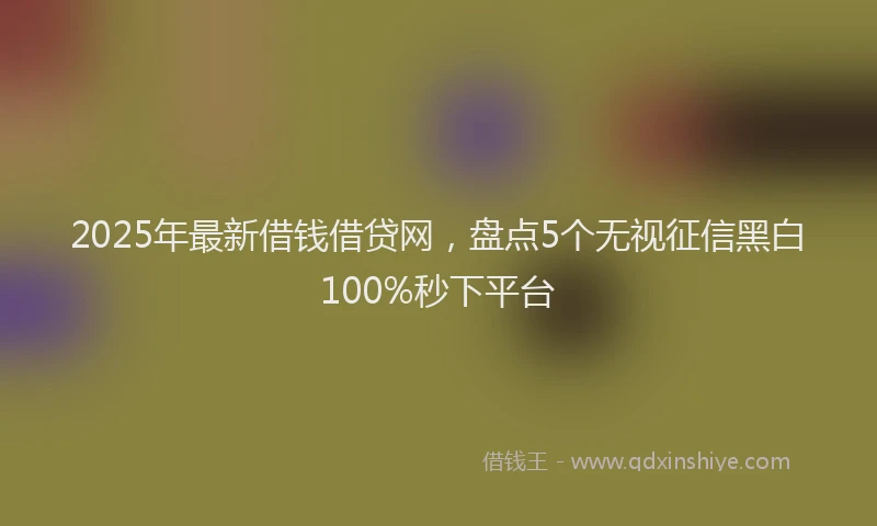 2025年最新借钱借贷网，盘点5个无视征信黑白100%秒下平台
