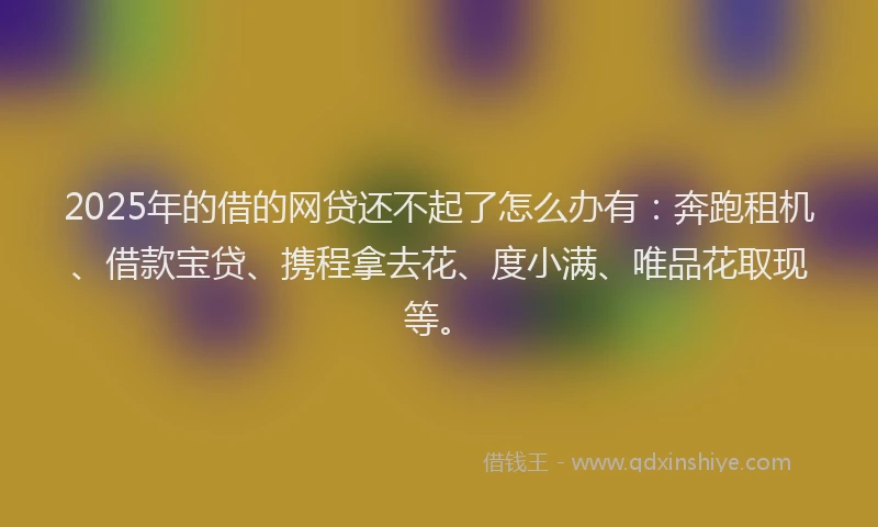 2025年的借的网贷还不起了怎么办有：奔跑租机、借款宝贷、携程拿去花、度小满、唯品花取现等。