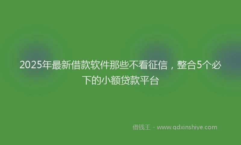 2025年最新借款软件那些不看征信，整合5个必下的小额贷款平台