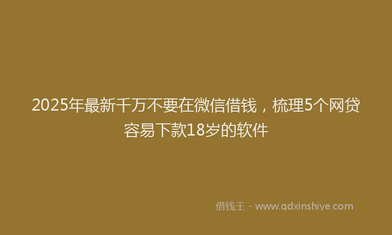 2025年最新千万不要在微信借钱，梳理5个网贷容易下款18岁的软件