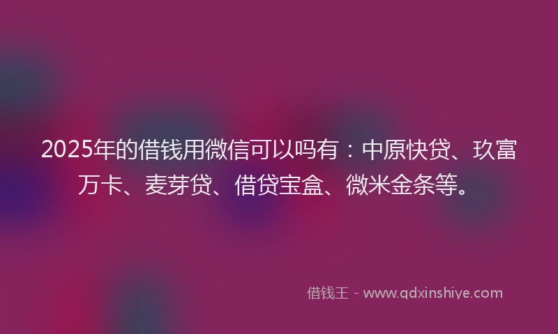 2025年的借钱用微信可以吗有：中原快贷、玖富万卡、麦芽贷、借贷宝盒、微米金条等。