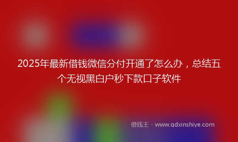 2025年最新借钱微信分付开通了怎么办，总结五个无视黑白户秒下款口子软件