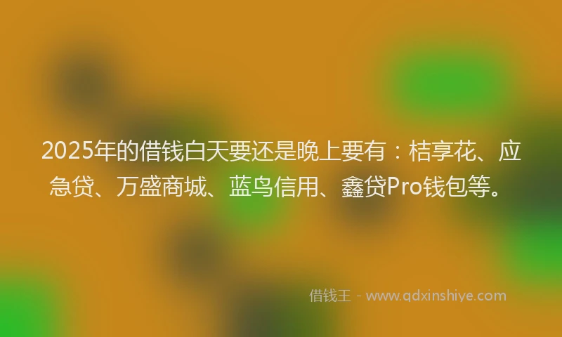 2025年的借钱白天要还是晚上要有：桔享花、应急贷、万盛商城、蓝鸟信用、鑫贷Pro钱包等。