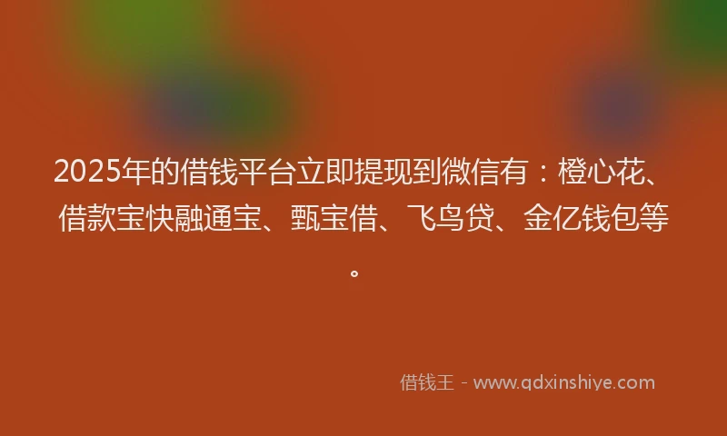 2025年的借钱平台立即提现到微信有：橙心花、借款宝快融通宝、甄宝借、飞鸟贷、金亿钱包等。