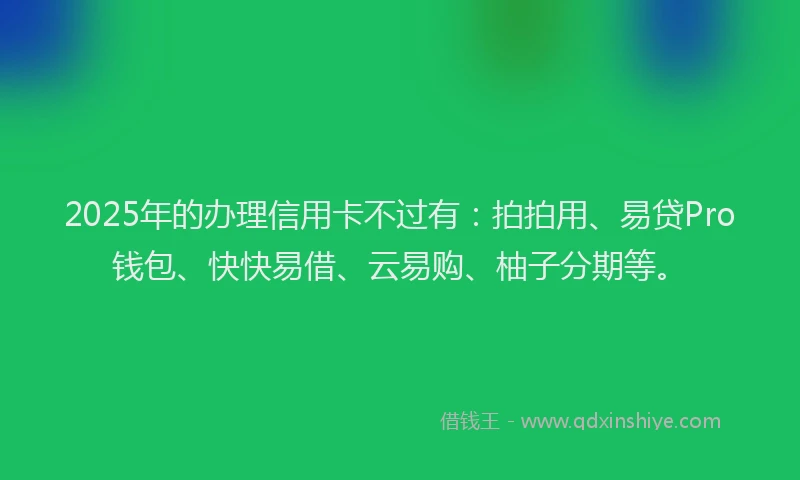 2025年的办理信用卡不过有：拍拍用、易贷Pro钱包、快快易借、云易购、柚子分期等。
