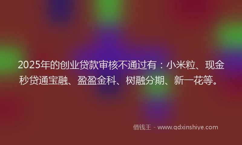 2025年的创业贷款审核不通过有：小米粒、现金秒贷通宝融、盈盈金科、树融分期、新一花等。
