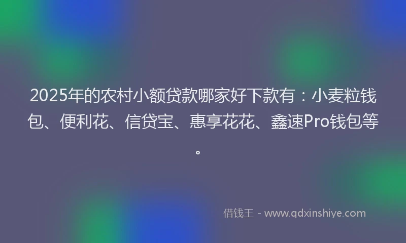 2025年的农村小额贷款哪家好下款有：小麦粒钱包、便利花、信贷宝、惠享花花、鑫速Pro钱包等。