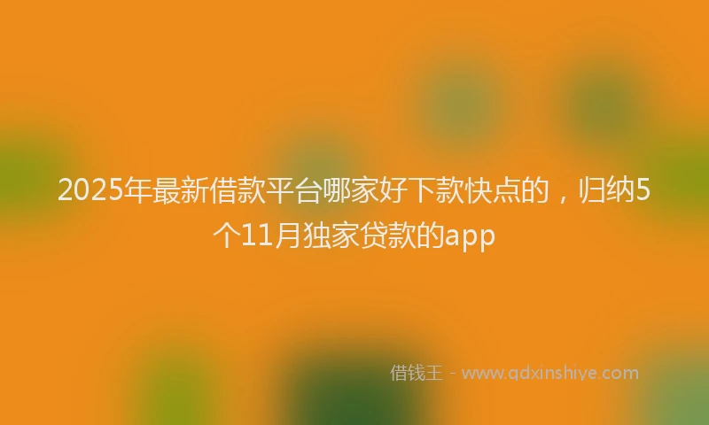 2025年最新借款平台哪家好下款快点的，归纳5个11月独家贷款的app