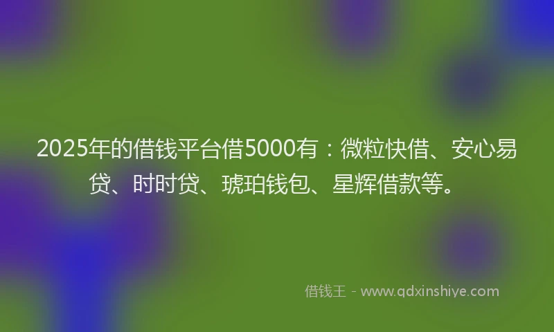 2025年的借钱平台借5000有：微粒快借、安心易贷、时时贷、琥珀钱包、星辉借款等。