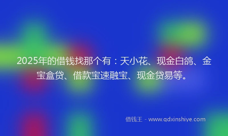 2025年的借钱找那个有：天小花、现金白鸽、金宝盒贷、借款宝速融宝、现金贷易等。