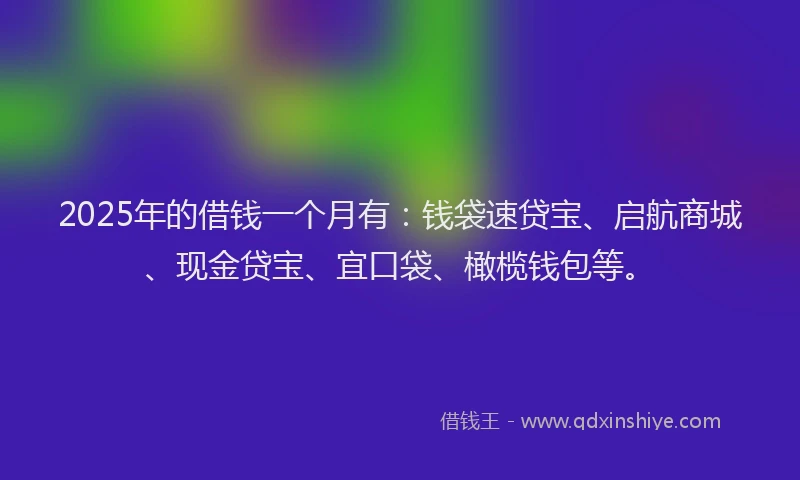 2025年的借钱一个月有：钱袋速贷宝、启航商城、现金贷宝、宜口袋、橄榄钱包等。