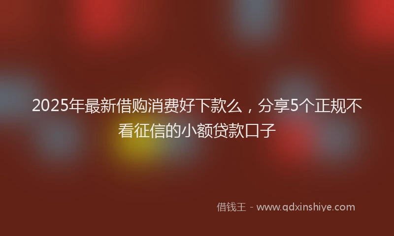 2025年最新借购消费好下款么，分享5个正规不看征信的小额贷款口子