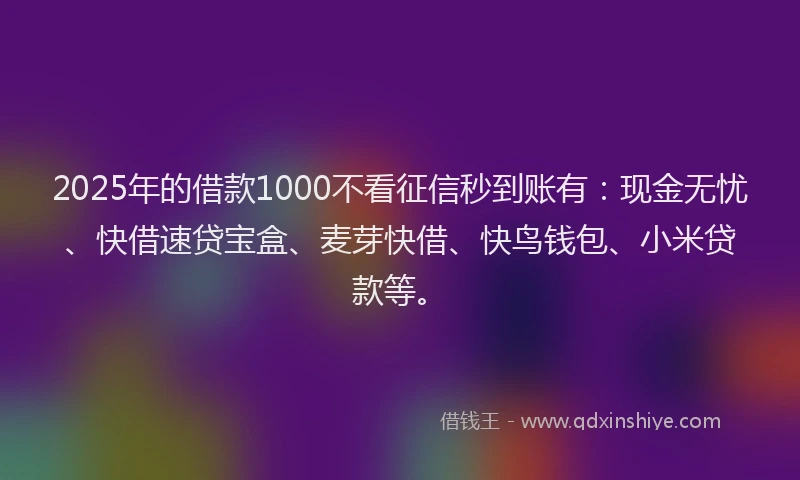 2025年的借款1000不看征信秒到账有:现金无忧、快借速贷宝盒、麦芽快借、快鸟钱包、小米贷款等。