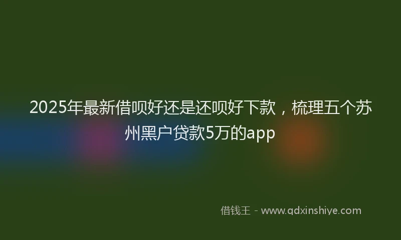 2025年最新借呗好还是还呗好下款，梳理五个苏州黑户贷款5万的app