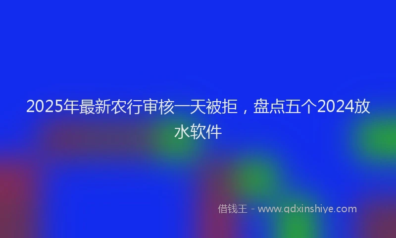 2025年最新农行审核一天被拒，盘点五个2024放水软件