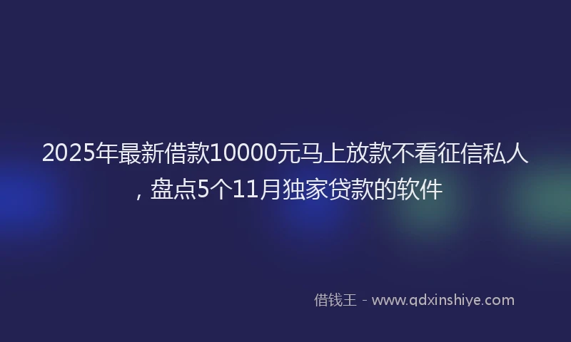 2025年最新借款10000元马上放款不看征信私人，盘点5个11月独家贷款的软件