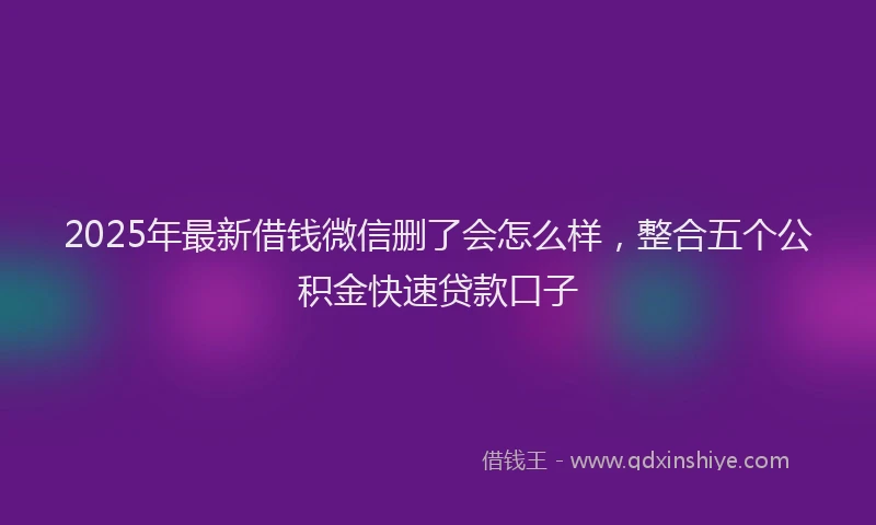 2025年最新借钱微信删了会怎么样，整合五个公积金快速贷款口子