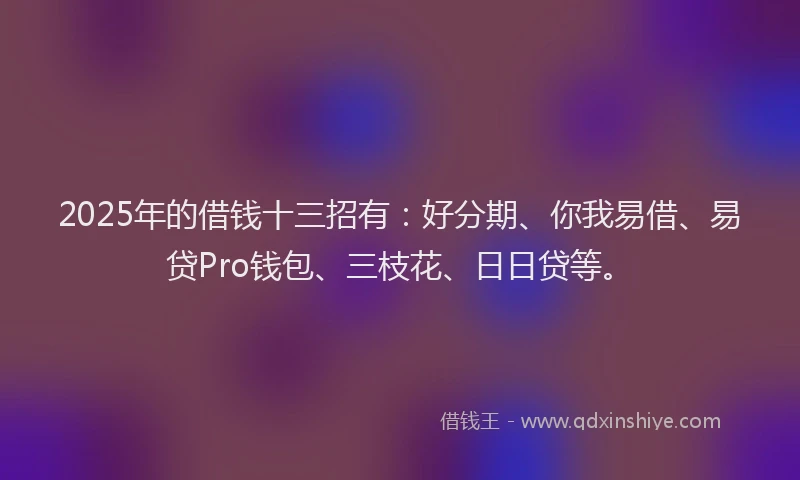 2025年的借钱十三招有：好分期、你我易借、易贷Pro钱包、三枝花、日日贷等。