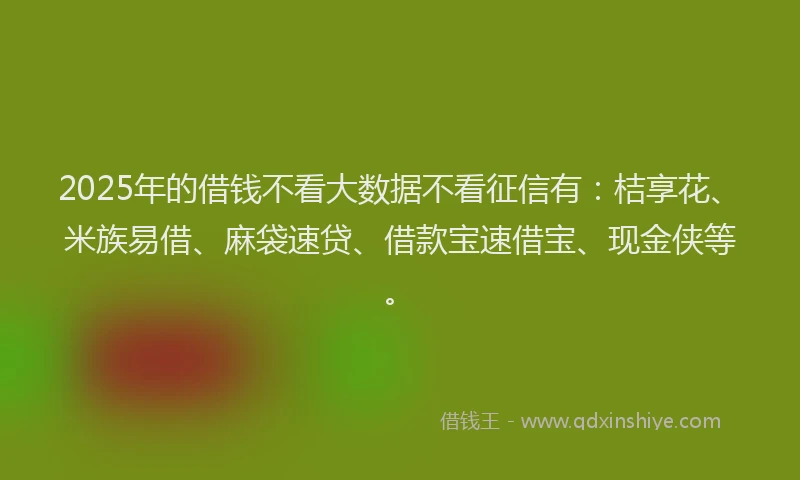 2025年的借钱不看大数据不看征信有：桔享花、米族易借、麻袋速贷、借款宝速借宝、现金侠等。