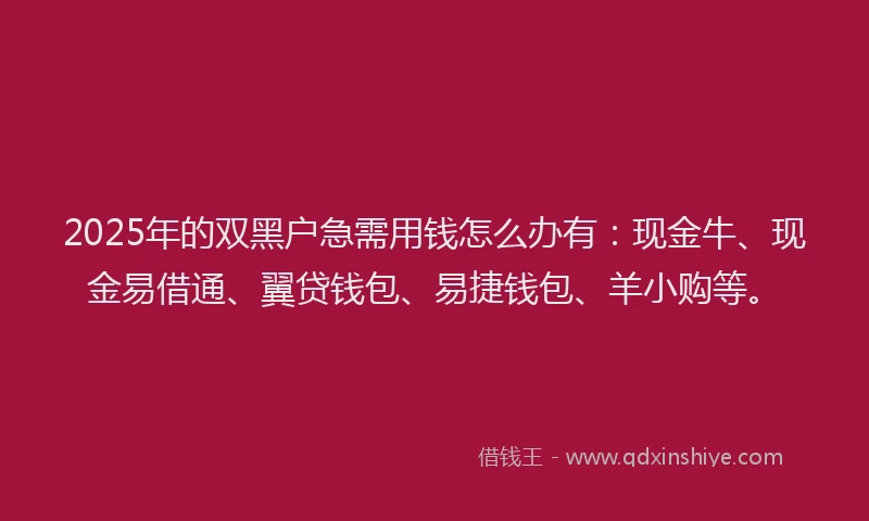 2025年的双黑户急需用钱怎么办有：现金牛、现金易借通、翼贷钱包、易捷钱包、羊小购等。