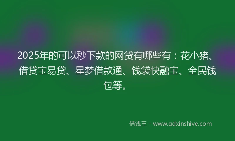 2025年的可以秒下款的网贷有哪些有：花小猪、借贷宝易贷、星梦借款通、钱袋快融宝、全民钱包等。
