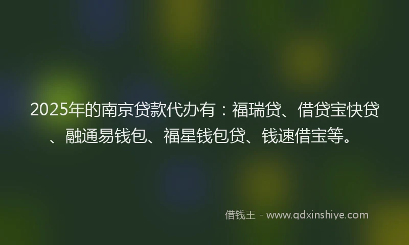 2025年的南京贷款代办有：福瑞贷、借贷宝快贷、融通易钱包、福星钱包贷、钱速借宝等。
