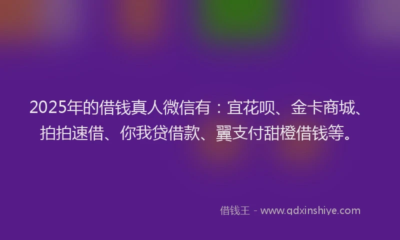 2025年的借钱真人微信有：宜花呗、金卡商城、拍拍速借、你我贷借款、翼支付甜橙借钱等。
