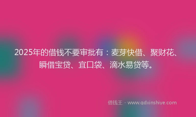 2025年的借钱不要审批有：麦芽快借、聚财花、瞬借宝贷、宜口袋、滴水易贷等。