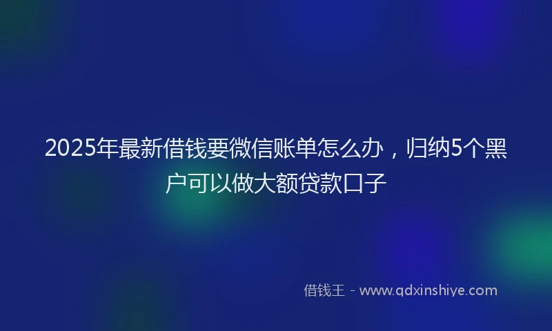 2025年最新借钱要微信账单怎么办，归纳5个黑户可以做大额贷款口子