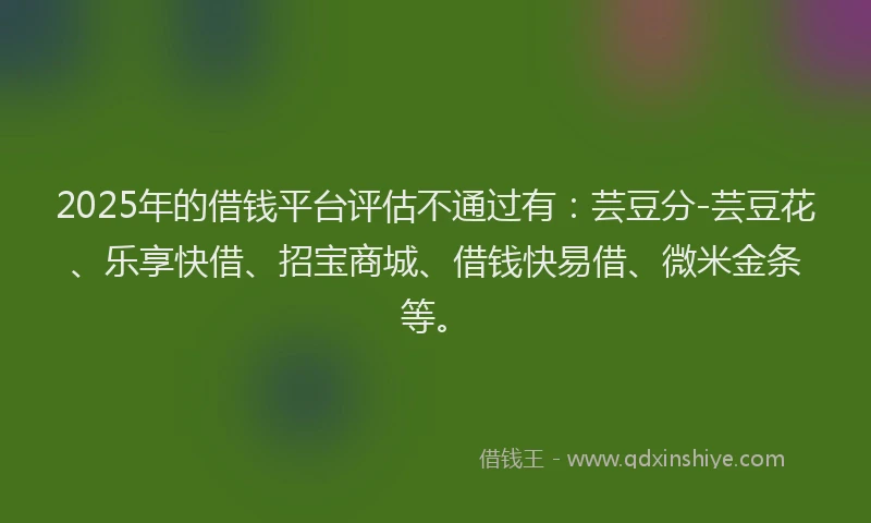 2025年的借钱平台评估不通过有：芸豆分-芸豆花、乐享快借、招宝商城、借钱快易借、微米金条等。