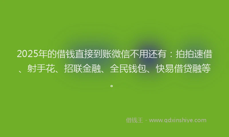 2025年的借钱直接到账微信不用还有：拍拍速借、射手花、招联金融、全民钱包、快易借贷融等。