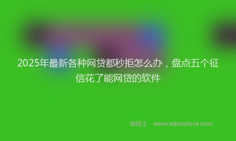 2025年最新各种网贷都秒拒怎么办，盘点五个征信花了能网贷的软件