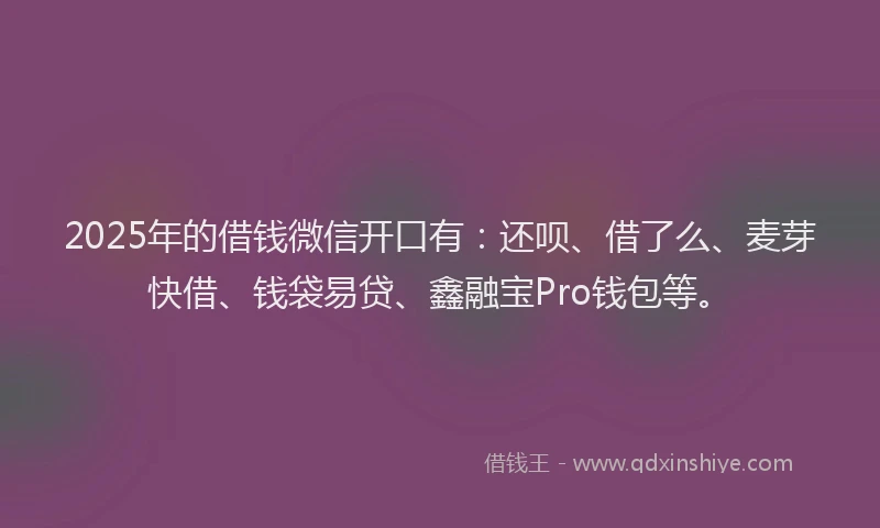 2025年的借钱微信开口有：还呗、借了么、麦芽快借、钱袋易贷、鑫融宝Pro钱包等。