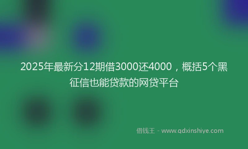 2025年最新分12期借3000还4000，概括5个黑征信也能贷款的网贷平台