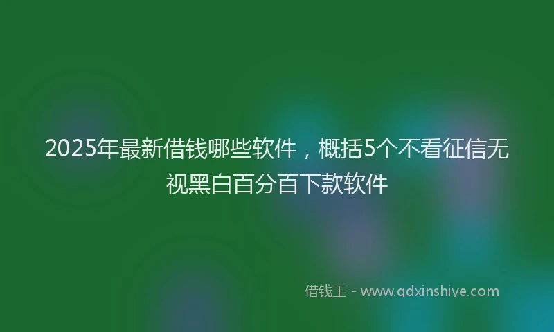 2025年最新借钱哪些软件，概括5个不看征信无视黑白百分百下款软件