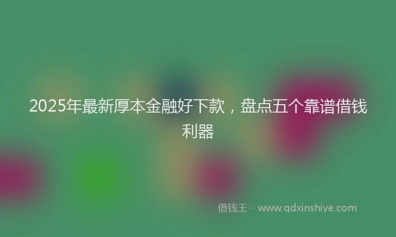 2025年最新厚本金融好下款，盘点五个靠谱借钱利器