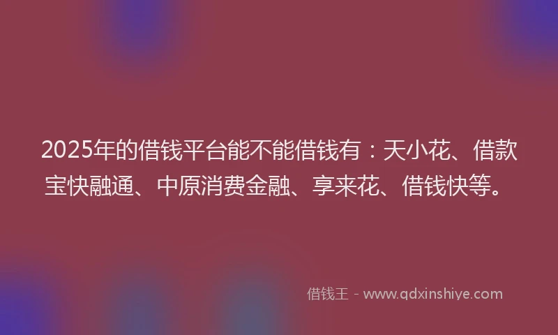 2025年的借钱平台能不能借钱有：天小花、借款宝快融通、中原消费金融、享来花、借钱快等。
