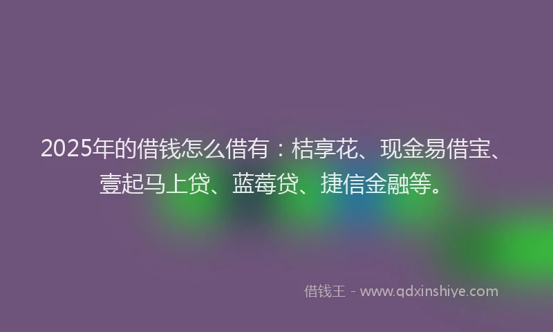 2025年的借钱怎么借有：桔享花、现金易借宝、壹起马上贷、蓝莓贷、捷信金融等。
