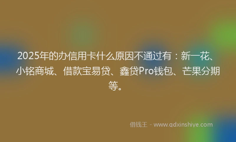 2025年的办信用卡什么原因不通过有：新一花、小铭商城、借款宝易贷、鑫贷Pro钱包、芒果分期等。