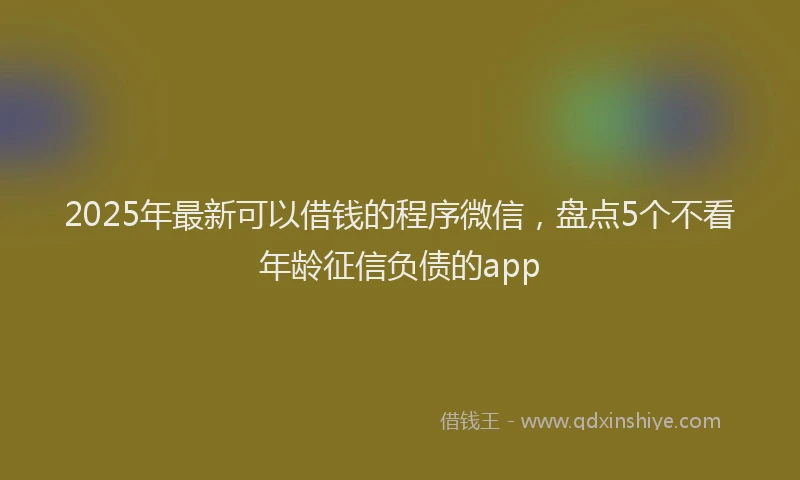 2025年最新可以借钱的程序微信，盘点5个不看年龄征信负债的app