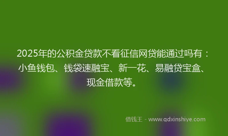 2025年的公积金贷款不看征信网贷能通过吗有：小鱼钱包、钱袋速融宝、新一花、易融贷宝盒、现金借款等。