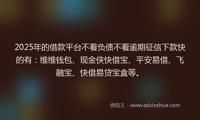 2025年的借款平台不看负债不看逾期征信下款快的有：维维钱包、现金侠快借宝、平安易借、飞融宝、快借易贷宝盒等。