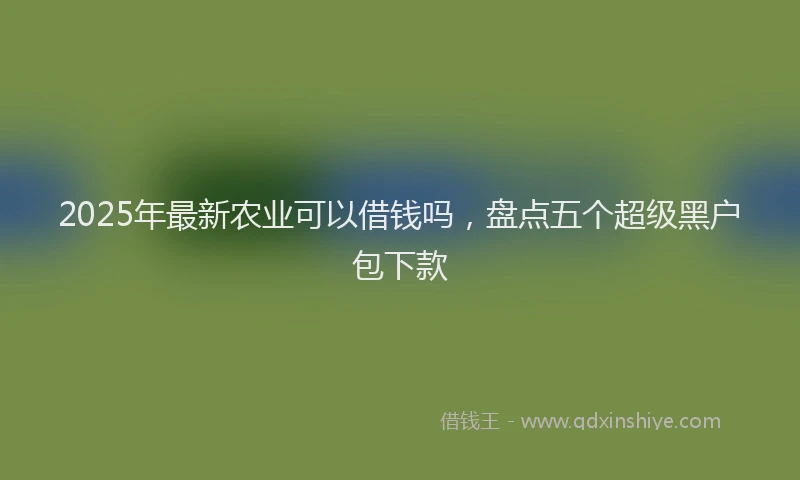 2025年最新农业可以借钱吗，盘点五个超级黑户包下款