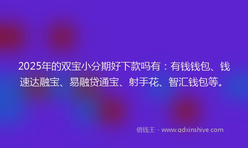 2025年的双宝小分期好下款吗有：有钱钱包、钱速达融宝、易融贷通宝、射手花、智汇钱包等。
