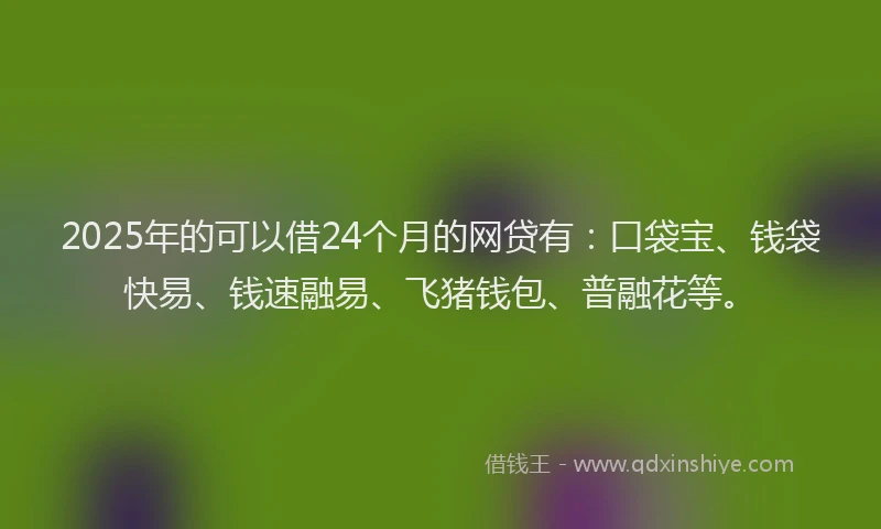 2025年的可以借24个月的网贷有：口袋宝、钱袋快易、钱速融易、飞猪钱包、普融花等。