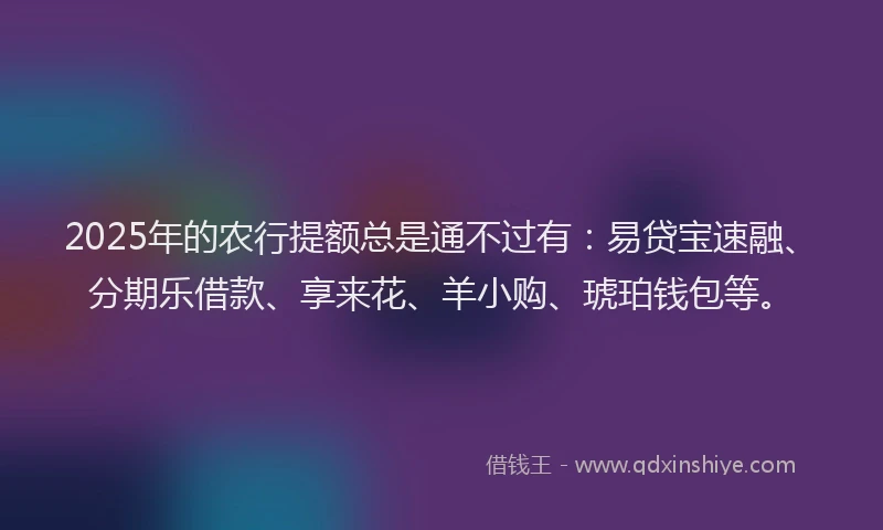 2025年的农行提额总是通不过有：易贷宝速融、分期乐借款、享来花、羊小购、琥珀钱包等。